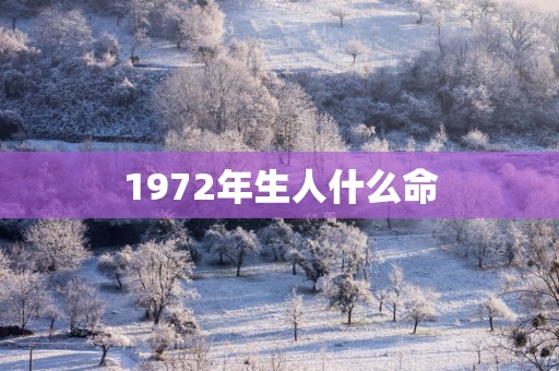 1972年生人什么命