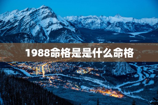 1988命格是是什么命格