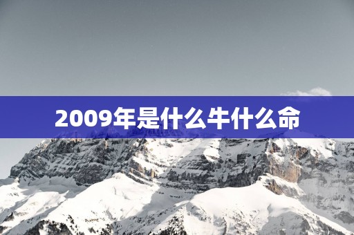 2009年是什么牛什么命