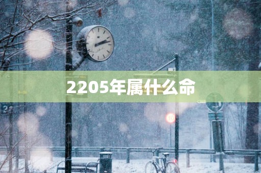 2205年属什么命