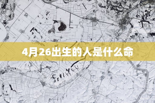 4月26出生的人是什么命