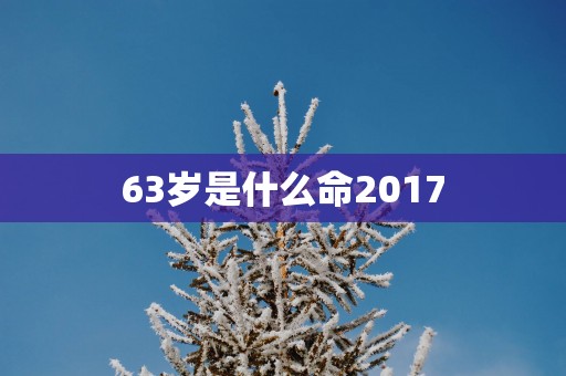 63岁是什么命2017