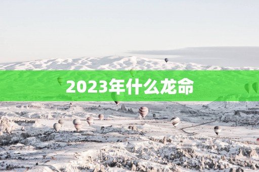 2025年什么龙命