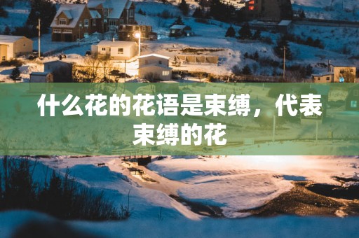 什么花的花语是束缚，代表束缚的花
