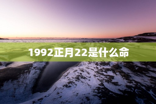 1992正月22是什么命