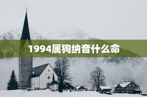 1994属狗纳音什么命