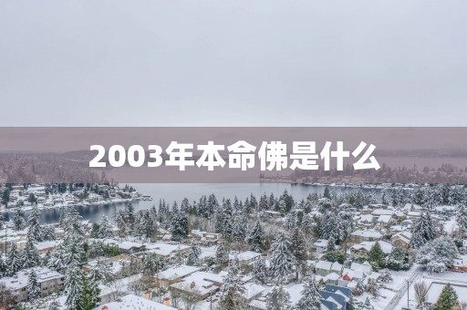 2003年本命佛是什么