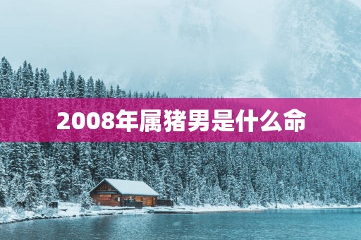 2008年属猪男是什么命