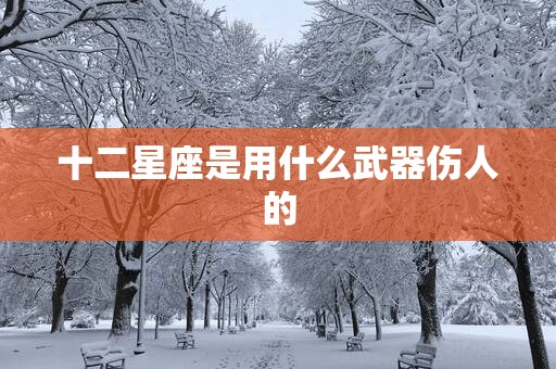 十二星座是用什么武器伤人的
