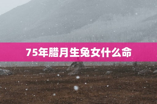 75年腊月生兔女什么命