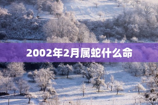 2002年2月属蛇什么命