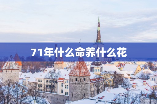 71年什么命养什么花