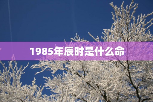 1985年辰时是什么命
