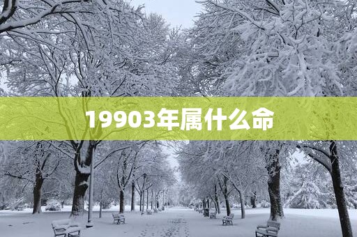 19903年属什么命
