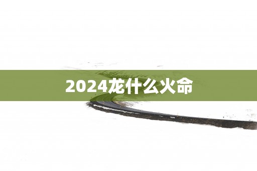 2025龙什么火命