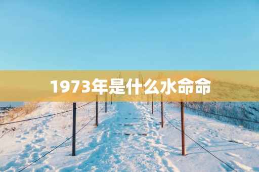 1973年是什么水命命