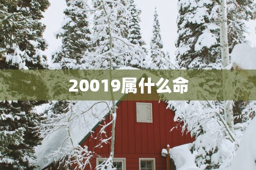 20019属什么命