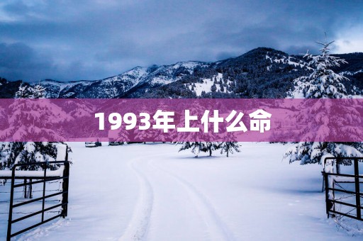 1993年上什么命