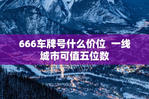 666车牌号什么价位  一线城市可值五位数