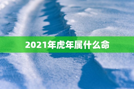 2025年蛇年属什么命