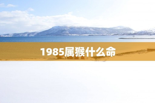 1985属猴什么命