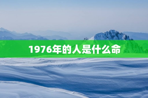 1976年的人是什么命