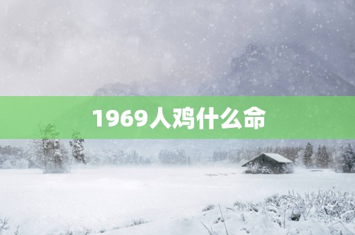 1969人鸡什么命
