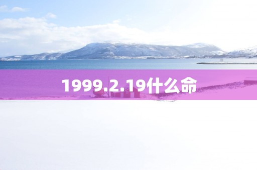 1999.2.19什么命
