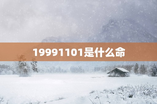 19991101是什么命