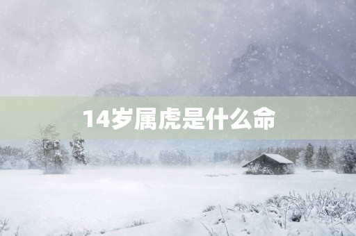 14岁属虎是什么命