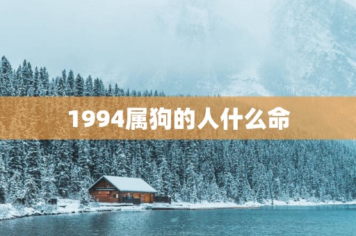 1994属狗的人什么命