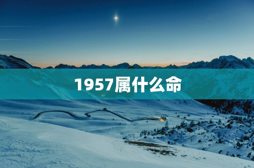 1957属什么命