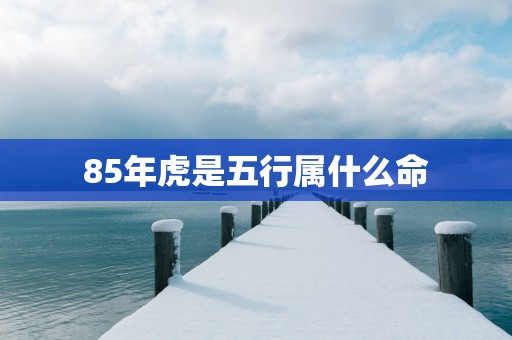 85年虎是五行属什么命