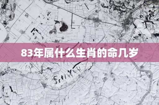 83年属什么生肖的命几岁