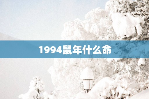 1994蛇年什么命