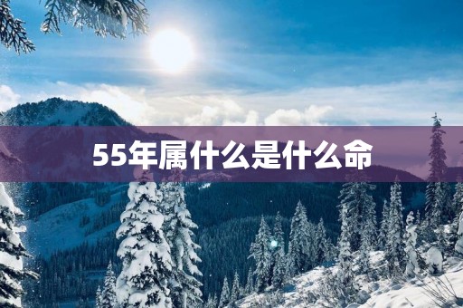55年属什么是什么命
