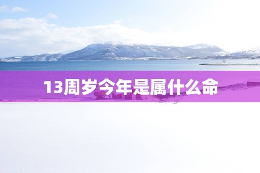 13周岁今年是属什么命