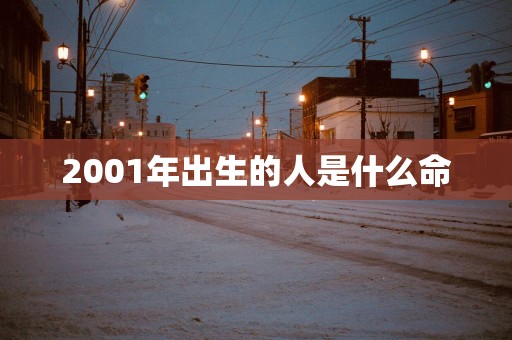 2001年出生的人是什么命