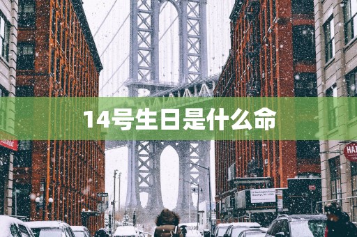 14号生日是什么命