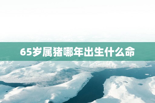 65岁属猪哪年出生什么命