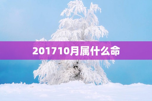 201710月属什么命