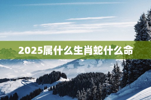 2025属什么生肖蛇什么命
