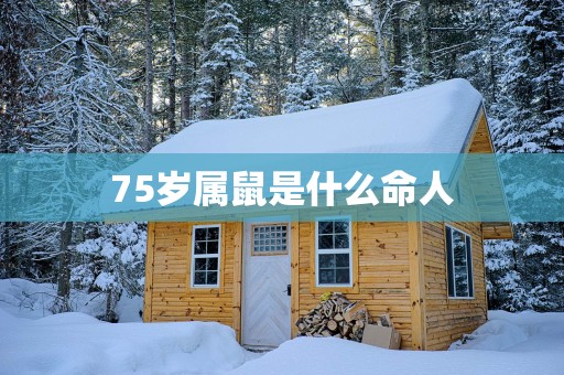75岁属鼠是什么命人