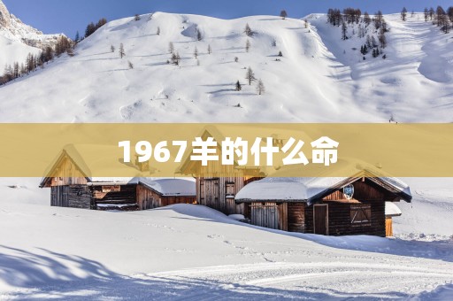 1967羊的什么命