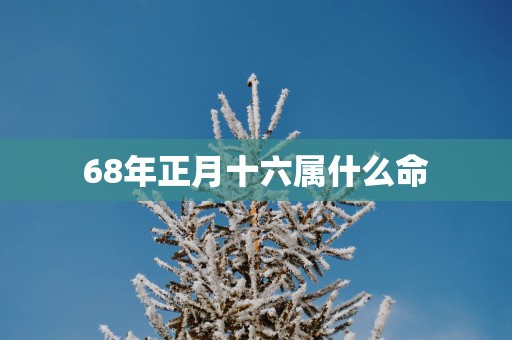 68年正月十六属什么命