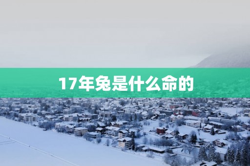 17年兔是什么命的