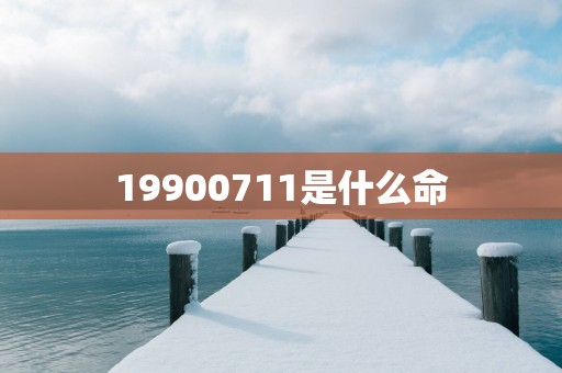19900711是什么命