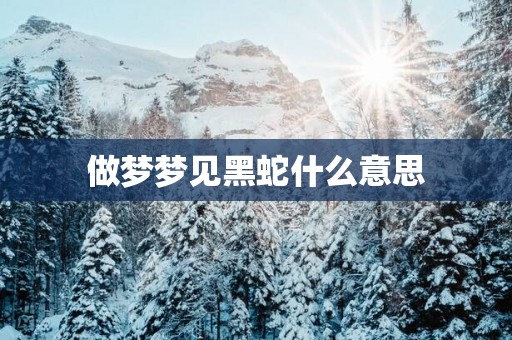 做梦梦见黑蛇什么意思