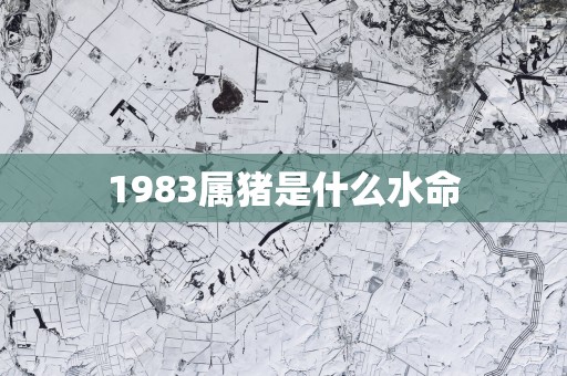1983属猪是什么水命