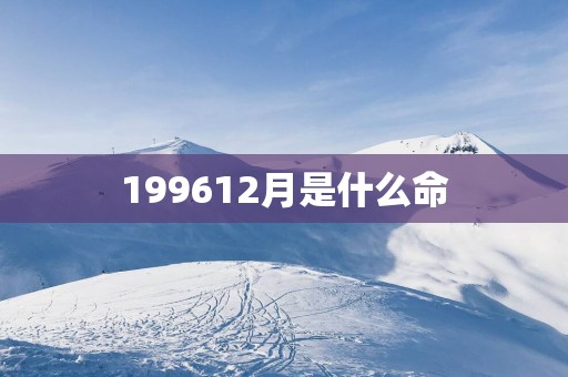 199612月是什么命